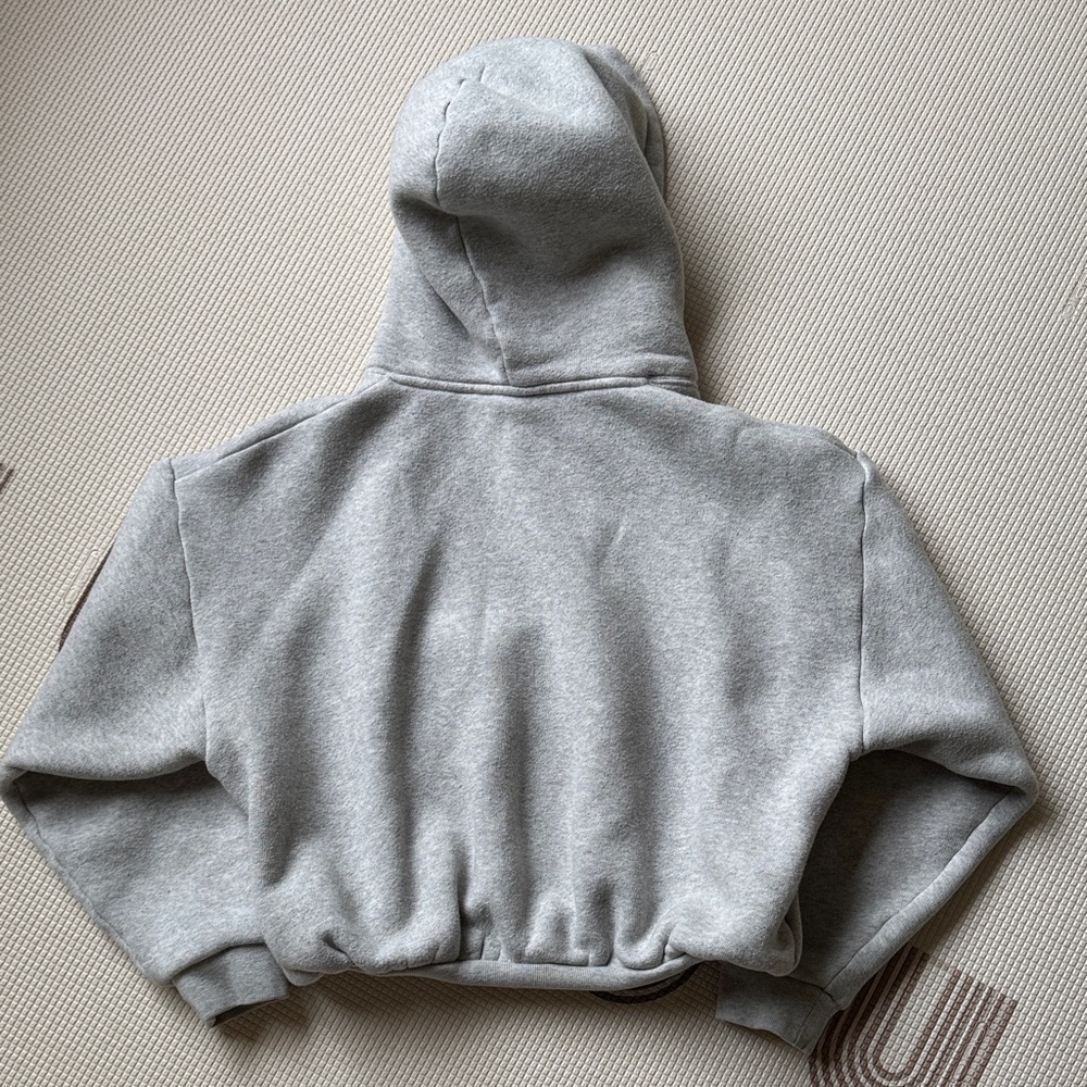 Aritzia Babaton Light Gray Fleece-Lined Hoodie - Picture 3 of 4
